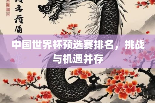 中国世界杯预选赛排名，挑战与机遇并存漯河市盈旭机械设备有限公司