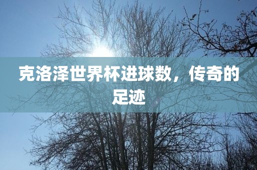 克洛泽世界杯进球数，传奇的足迹