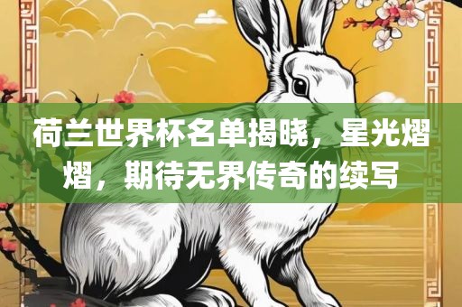 荷兰世界杯名单揭晓，星光熠熠，期待无界传奇的续写