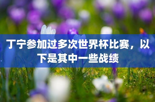丁宁参加过多次世界杯比赛，以下是其中一些战绩漯河市盈旭机械设备有限公司