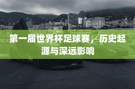 第一届世界杯足球赛，历史起源与深远影响漯河市盈旭机械设备有限公司