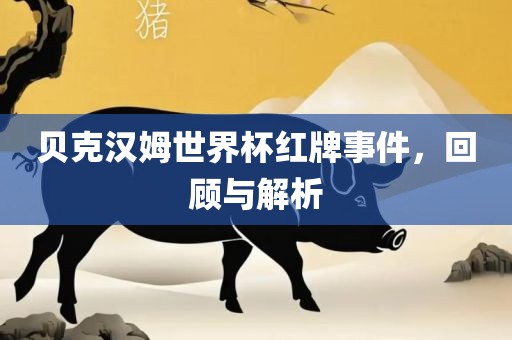 贝克汉姆世界杯红牌事件，回顾与解析