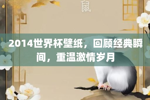 2014世界杯壁纸，回顾经典瞬间，重温激情岁月
