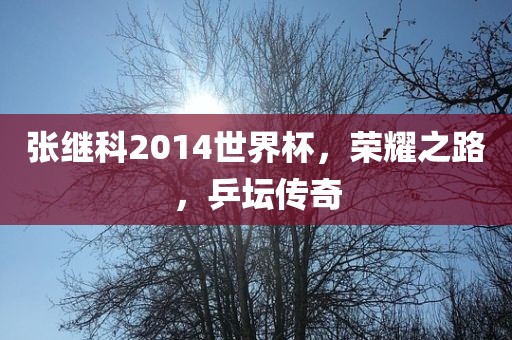 张继科2014世界杯，荣耀之路，乒坛传奇