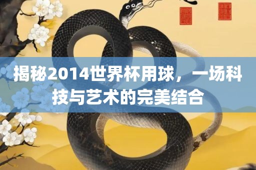 揭秘2014世界杯用球，一场科技与艺术的完美结合漯河市盈旭机械设备有限公司