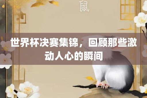 世界杯决赛集锦，回顾那些激动人心的瞬间