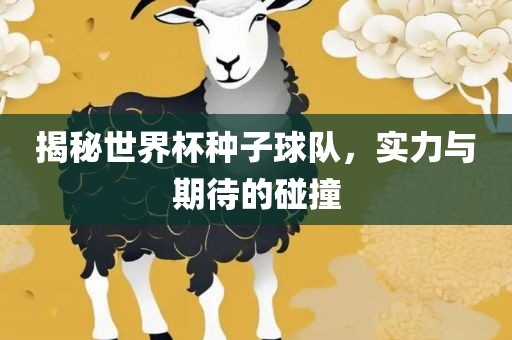揭秘世界杯种子球队，实力与期待的碰撞