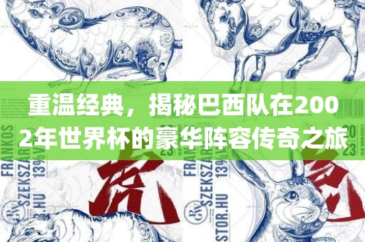 重温经典，揭秘巴西队在2002年世界杯的豪华阵容传奇之旅漯河市盈旭机械设备有限公司