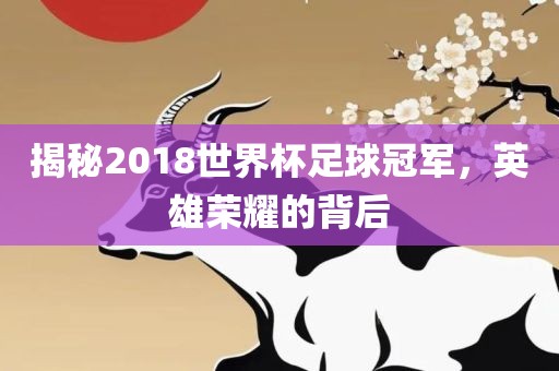 揭秘2018世界杯足球冠军，英雄荣耀的背后