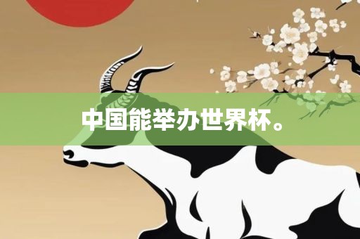 中国能举办世界杯。