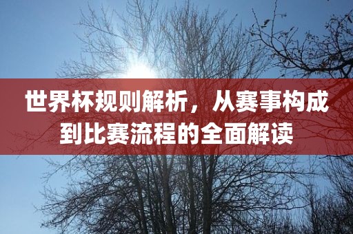 世界杯规则解析，从赛事构成到比赛流程的全面解读