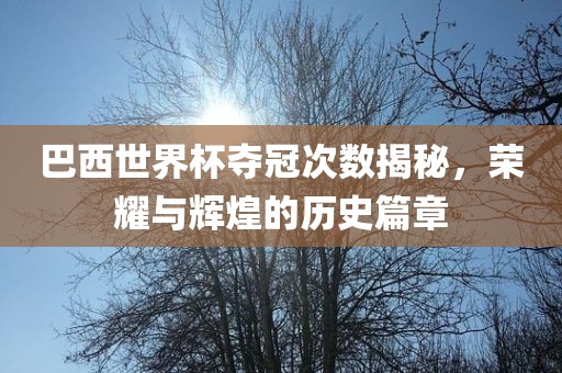 巴西世界杯夺冠次数揭秘，荣耀与辉煌的历史篇章