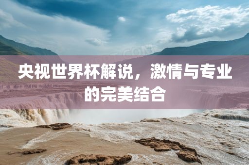 央视世界杯解说，激情与专业的完美结合