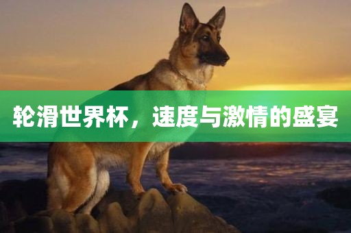 轮滑世界杯，速度与激情的盛宴