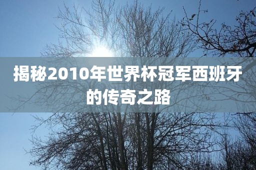 揭秘2010年世界杯冠军西班牙的传奇之路