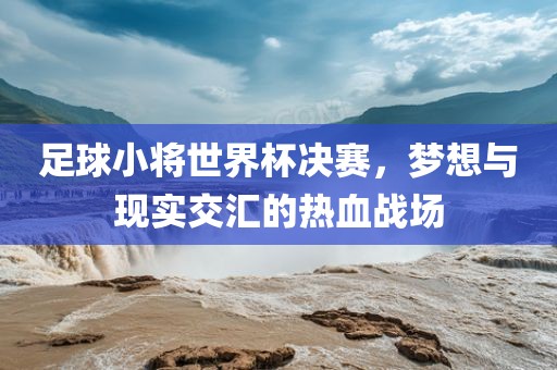 足球漯河市盈旭机械设备有限公司小将世界杯决赛，梦想与现实交汇的热血战场