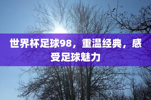 世界杯足球98，重温经典，感受足球魅力漯河市盈旭机械设备有限公司