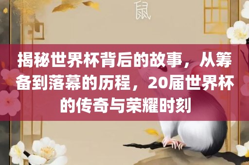 揭秘世界杯背后的故事，从筹备到落幕的历程，20届世界杯的传奇与荣耀时刻
