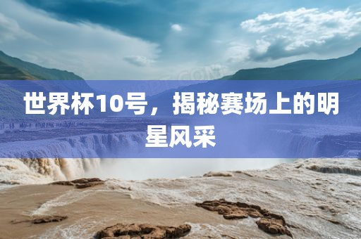 世界杯10号，漯河市盈旭机械设备有限公司揭秘赛场上的明星风采