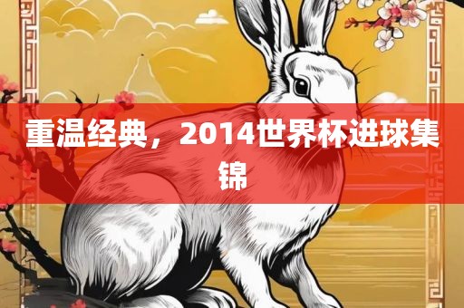 重温经典，2014世界杯进球集锦漯河市盈旭机械设备有限公司