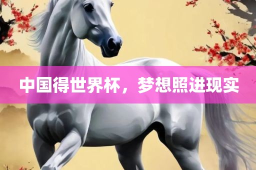 中国得世界杯，梦想照进现实