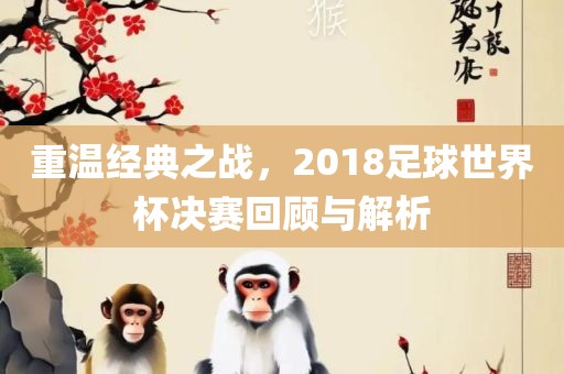 重温经典之战，2018足球世界杯决赛回顾与解析