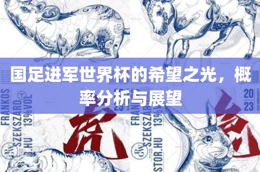 国足进军世界杯的希望之光，概率分析与展望