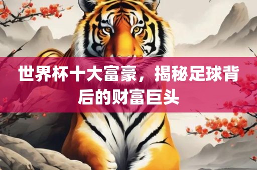 世界杯十大富豪，揭秘足球背后的财富巨头漯河市盈旭机械设备有限公司