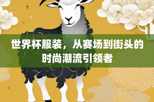 世界杯服装，从赛场到街头的时尚漯河市盈旭机械设备有限公司潮流引领者