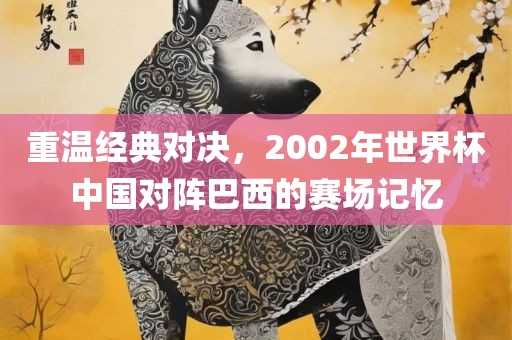 重温经典对决，2002年世界杯中国漯河市盈旭机械设备有限公司对阵巴西的赛场记忆