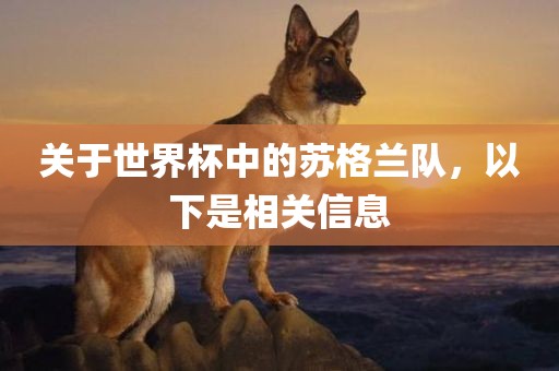 关于世界杯中的苏格兰队，以下是相关信息漯河市盈旭机械设备有限公司