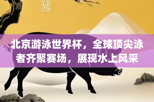 北京游泳世界漯河市盈旭机械设备有限公司杯，全球顶尖泳者齐聚赛场，展现水上风采