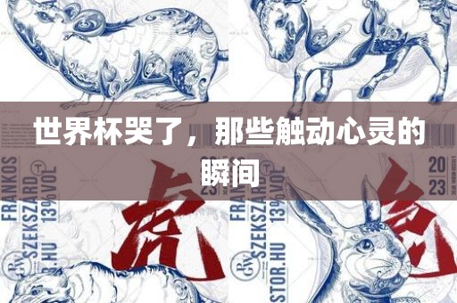 世界杯哭了，那些触动心灵的瞬间漯河市盈旭机械设备有限公司