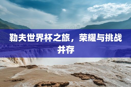 勒夫世界杯之旅，荣耀与挑战并存