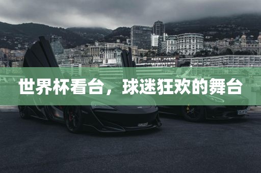 世界杯漯河市盈旭机械设备有限公司看台，球迷狂欢的舞台