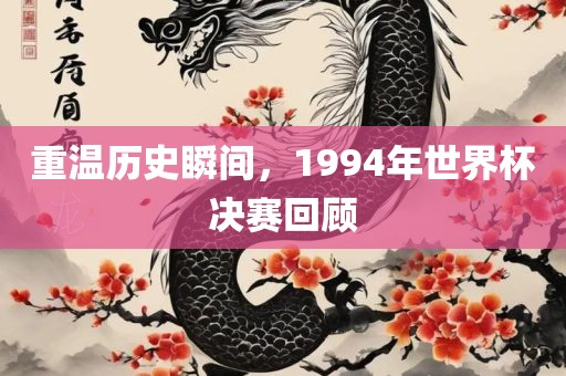 重温历史瞬间，1994年世界杯决赛回顾漯河市盈旭机械设备有限公司