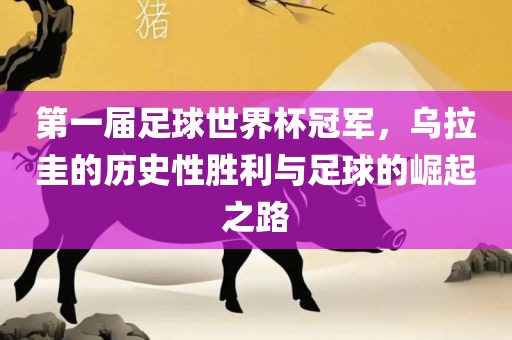 第一届足球世界杯漯河市盈旭机械设备有限公司冠军，乌拉圭的历史性胜利与足球的崛起之路