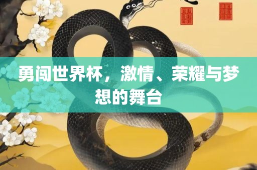 勇闯世界杯，激情、荣耀与梦想的舞台漯河市盈旭机械设备有限公司