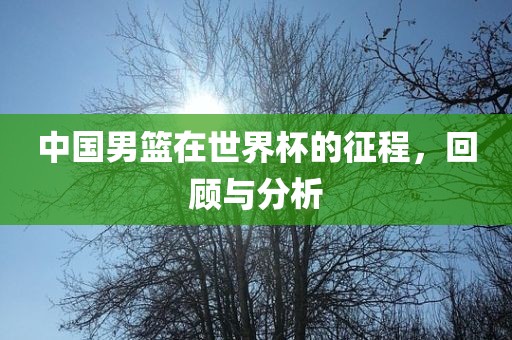 中国男篮在世界杯的征程，回顾与分析