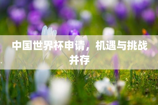 中国世界杯申请，机遇与挑战并存