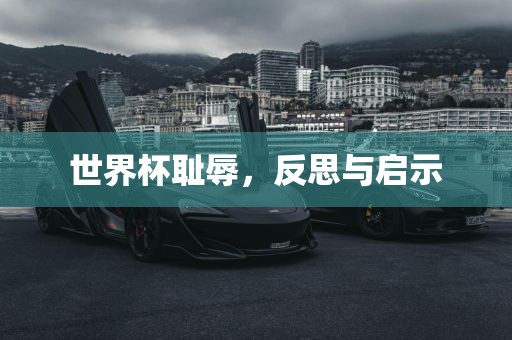 世界杯耻辱，反思与启漯河市盈旭机械设备有限公司示