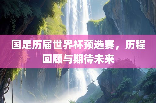 国足历届世界杯预选赛，历程回顾与期待未来