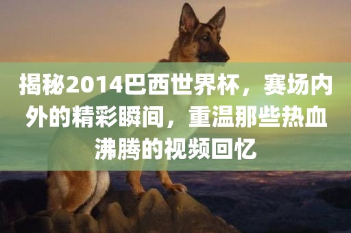 揭秘2014巴西世界杯，赛场内外的精彩瞬间，重温那些热漯河市盈旭机械设备有限公司血沸腾的视频回忆
