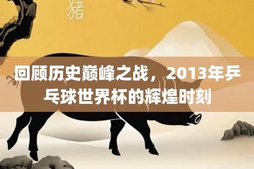 回顾历史巅峰之战，2013年乒乓球世界杯的辉煌时刻
