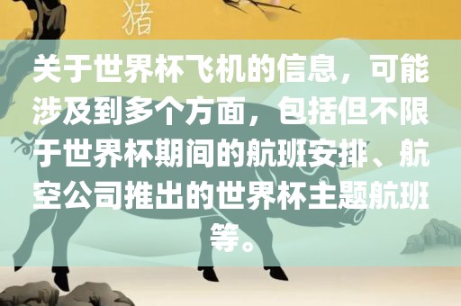 关于世界杯飞机的信息，可能涉及到多个方面，包括但不限于世界杯期间的航班安排、航空公司推出的世界杯主题航班等。漯河市盈旭机械设备有限公司