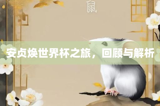 安贞焕世界杯之旅，回顾与解析