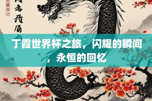 丁霞世界杯之旅，闪耀的瞬间，永恒的回忆