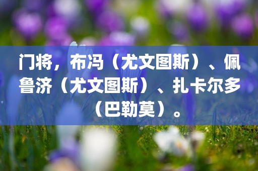 门将，布冯（尤文图斯）、佩鲁济（尤文图斯）、扎卡尔多（巴勒莫）。