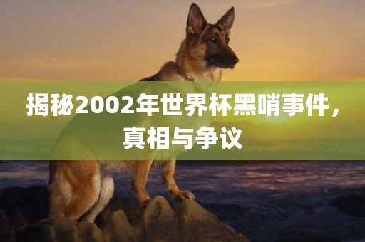 揭秘2002年世界杯黑哨事件，真相与争议