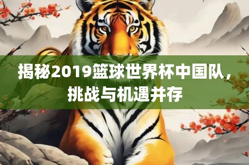 揭秘2019篮球世界杯中国队，挑战与机遇并存